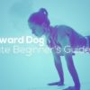 Downward Dog - Guide