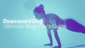 Downward Dog - Guide