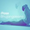 Cobra Pose Yoga - Bhujangasana