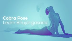 Cobra Pose Yoga - Bhujangasana